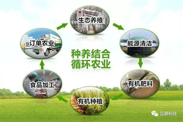 建设水坦克地力“加油站”,助力绿色种养循环