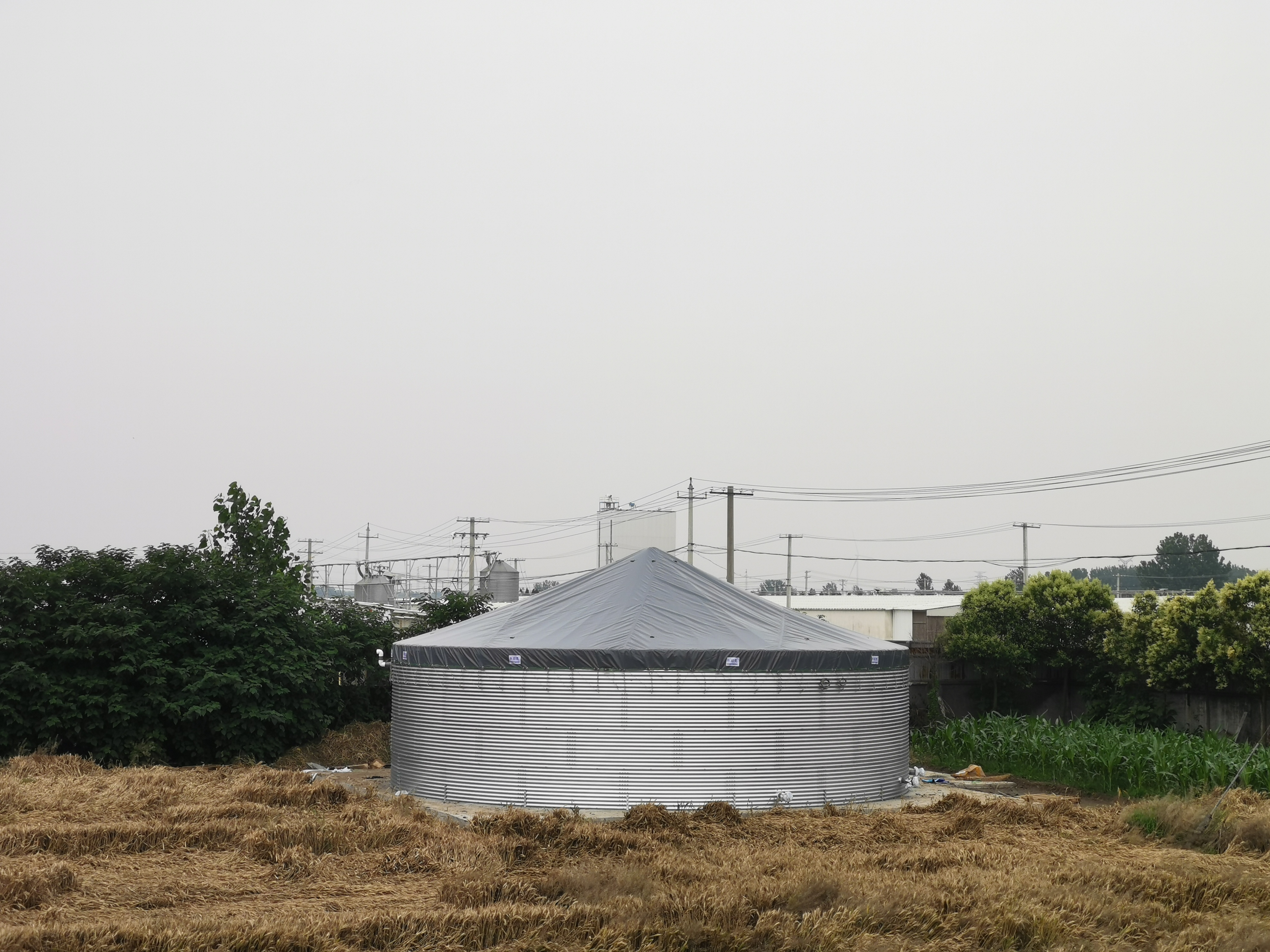 从“打井挑水”到“拧开水龙头”:313方蓄水池改写阜阳村民用水史